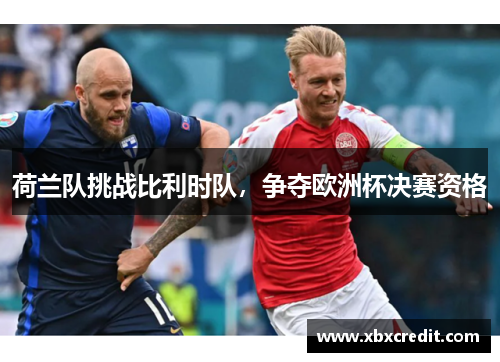 荷兰队挑战比利时队，争夺欧洲杯决赛资格