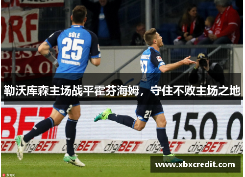 勒沃库森主场战平霍芬海姆,守住不败主场之地 勒沃库森主场战平霍芬海姆,守住不败主场之地
