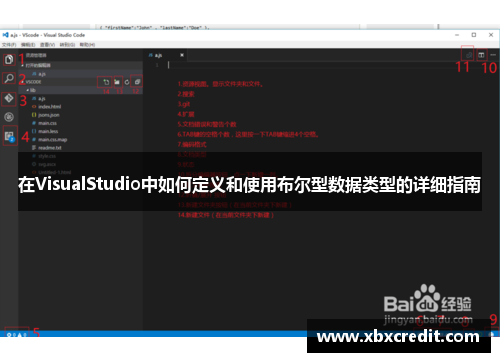 在VisualStudio中如何定义和使用布尔型数据类型的详细指南 在VisualStudio中如何定义和使用布尔型数据类型的详细指南